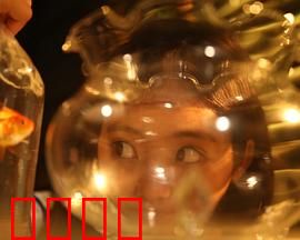 樓上樓下：邻里百态