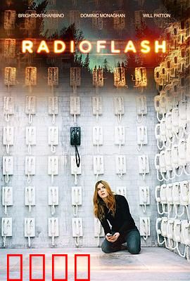 电磁脉冲：末日求生