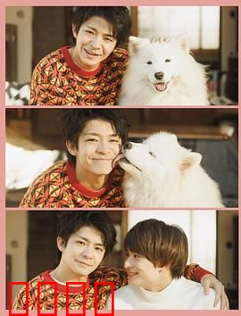 爱你汪汪：忠犬救主