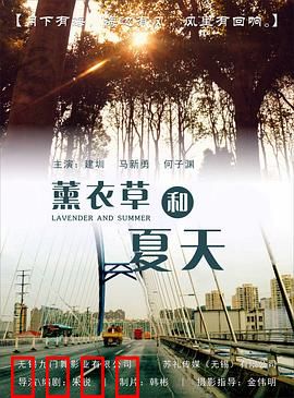 薰衣草和夏天：紫色热恋