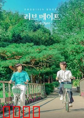 爱情伴侣：当理想照进现实