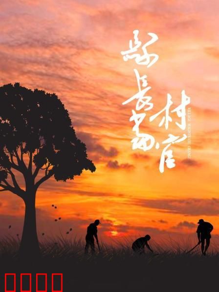 县长当村官：乡村振兴记