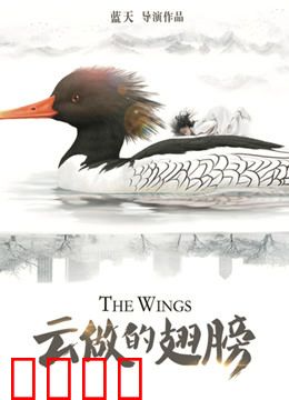 云做的翅膀：放手飞翔
