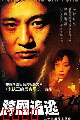 跨国追逃：千里追凶