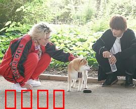 难破MG5特别篇：命运抉择