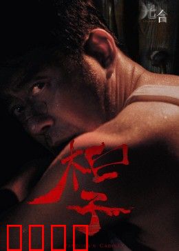 光合计划：逆光重生