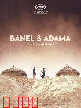 贝内尔和阿达玛：命运交织