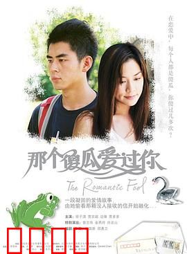 那个傻瓜爱过你国语：痴情男追爱记