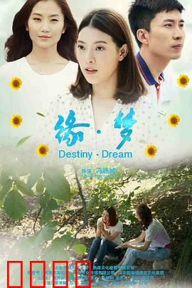 缘·梦：梦中情缘