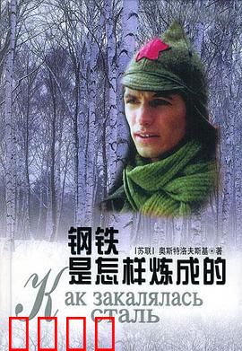 钢铁是怎样炼成的：不屈的钢铁意志