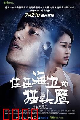 住在海边的猫头鹰：治愈孤独之旅