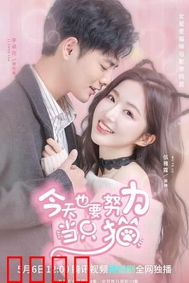 今天也要努力当只猫：猫生逆袭的治愈奇迹