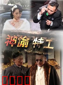 神偷特工：绝密窃影