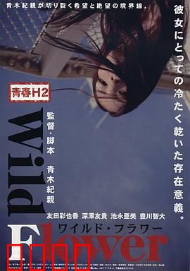 青春H2之狂野之花：氢能少女觉醒