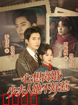 一心想离婚，少夫人她不好惹：逆袭翻身